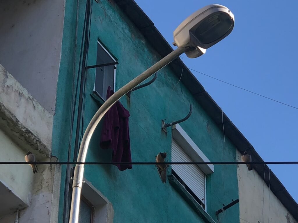 Photo Electric hoist