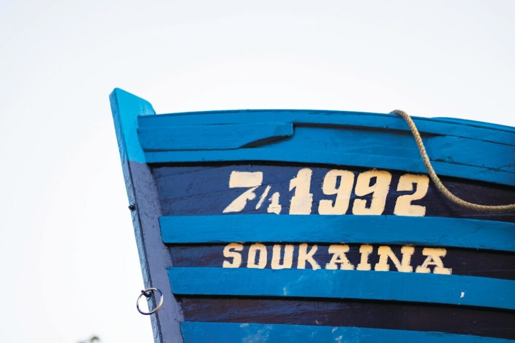 Photo Goods Hoist Cost