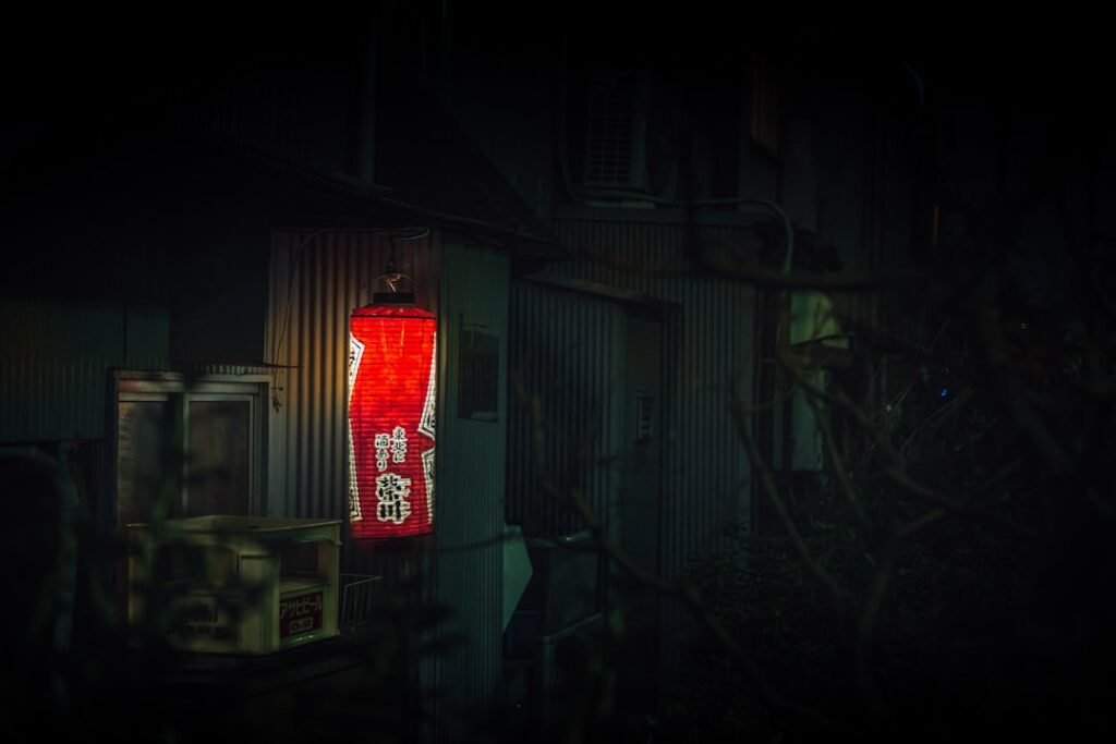 Photo Goods Hoist