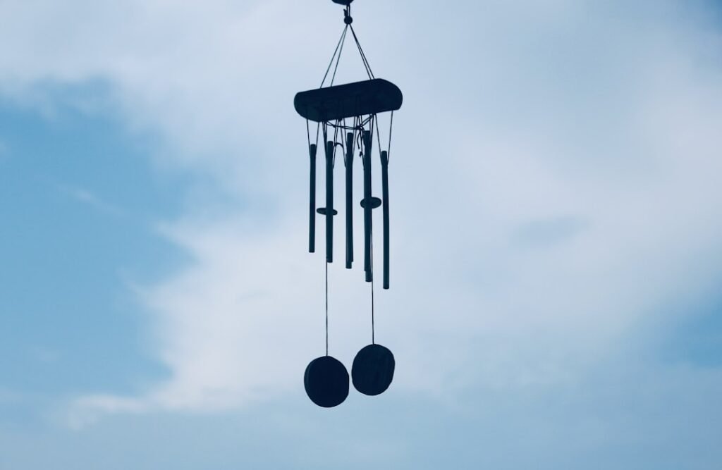 Photo Goods Hoist Technology