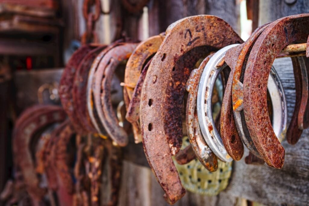 Photo Chain-Driven vs Belt-Driven Goods Hoists