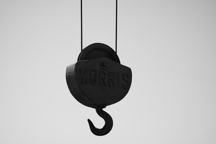 Goods Hoist Cost